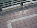 P8230148 * 2048 x 1536 * (672KB)