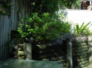 DSCN0428 * 2272 x 1704 * (793KB)