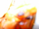 DSCN1331 * 1024 x 768 * (259KB)