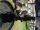 DSCN0378 * 2272 x 1704 * (789KB)